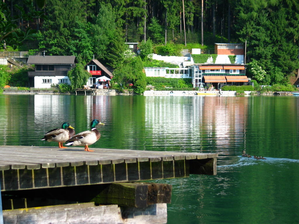 Villa Mayr Villach Eksteriør billede